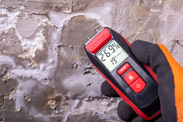 Best Air Quality Testing for Mold Spores  in Smyrna, TN